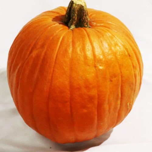 ジャックオーランタンを手作り！大きいハロウィンかぼちゃの通販